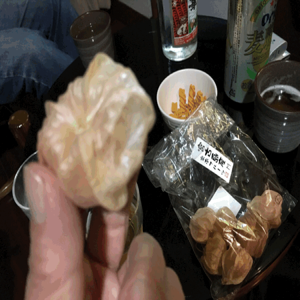 a0309389_09544772.gif
