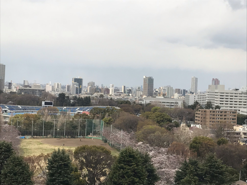 桜色のネイルを塗った日に_f0378589_14305121.jpg