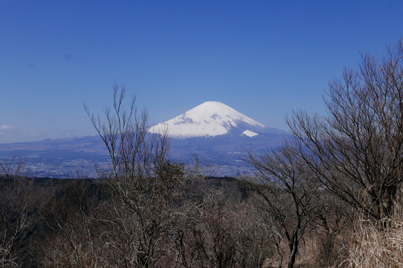 矢倉岳へ登山　その2_d0161702_18283540.jpg