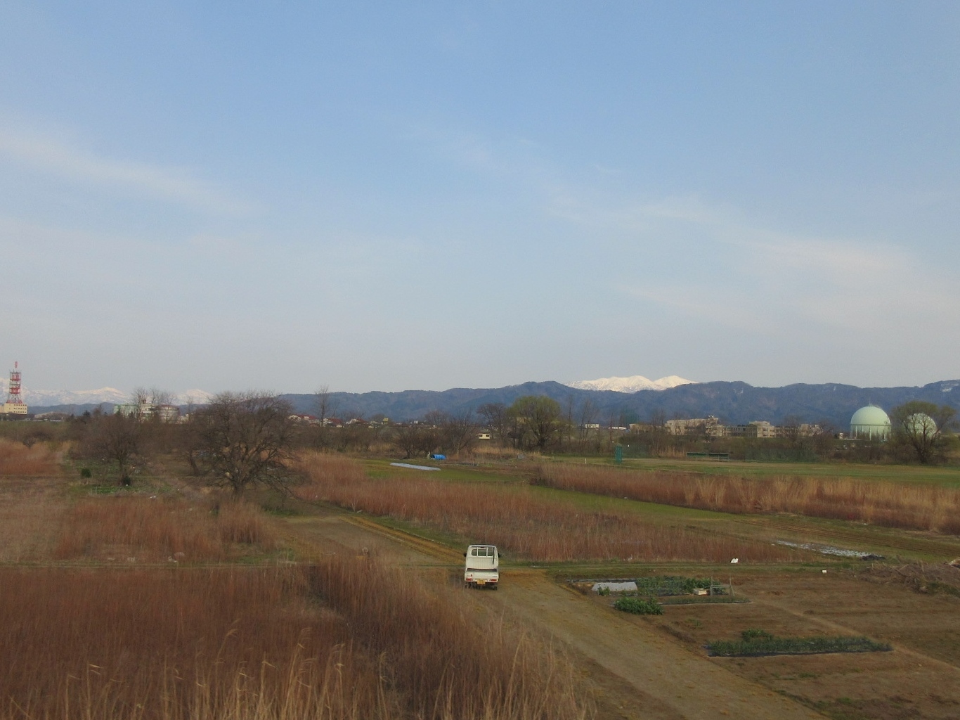 白花仏の座・残雪守門岳・ほか_a0203003_21142003.jpg