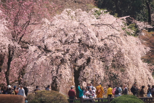 a0263109_19404082.jpg