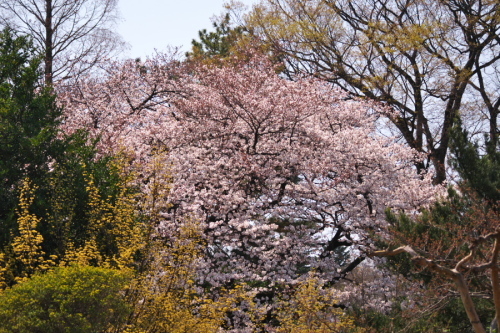 a0263109_19420289.jpg