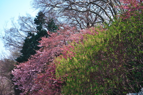 a0263109_19423839.jpg