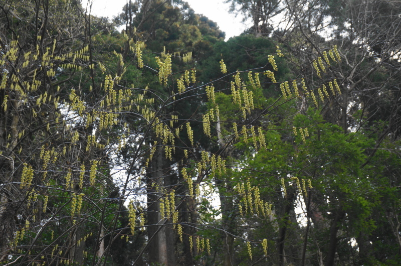 d0359010_15390330.jpg