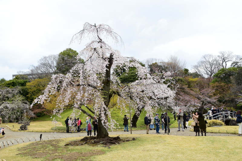 小石川後楽園_a0342815_12375415.jpg