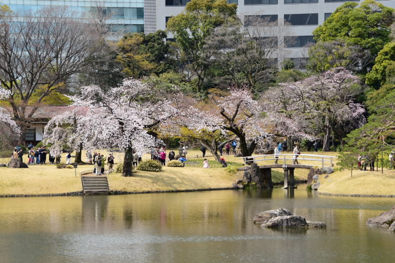 小石川後楽園_a0342815_12381185.jpg