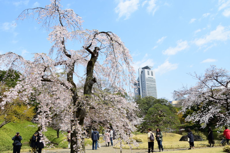 小石川後楽園_a0342815_12384196.jpg