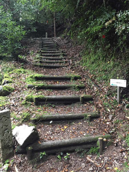 108お遍路 21番太龍寺~22番平等寺~民宿ゆき荘 2017.10.16_d0357024_08225243.gif