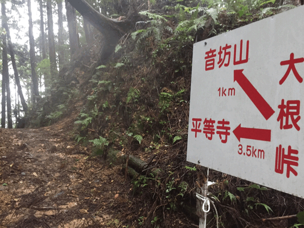108お遍路 21番太龍寺~22番平等寺~民宿ゆき荘 2017.10.16_d0357024_08245069.gif