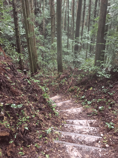 108お遍路 21番太龍寺~22番平等寺~民宿ゆき荘 2017.10.16_d0357024_08250223.gif
