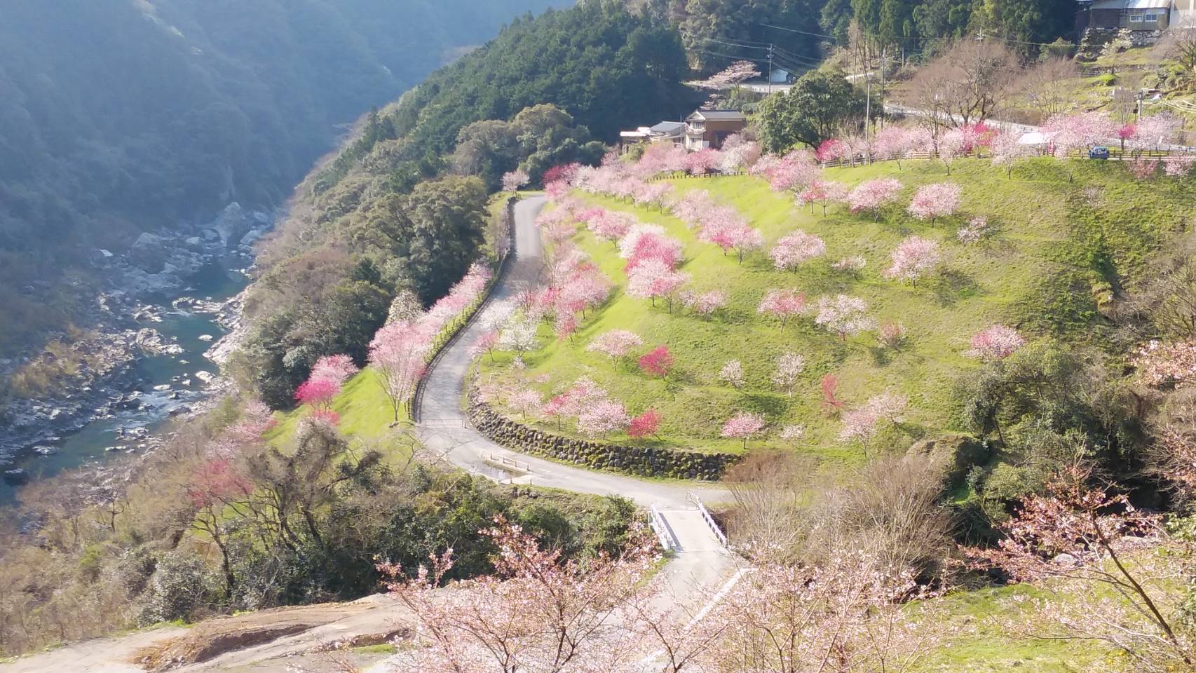 3月29日_c0155326_23184127.jpg