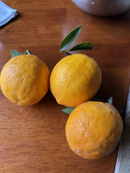 b0369239_15193600.jpeg