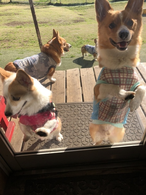 b0369239_15281401.jpeg