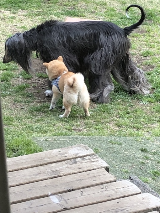 b0369239_15292859.jpeg