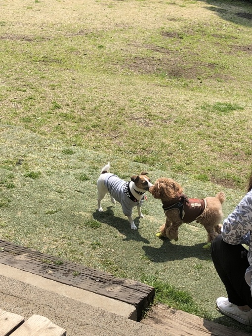 b0369239_15294061.jpeg