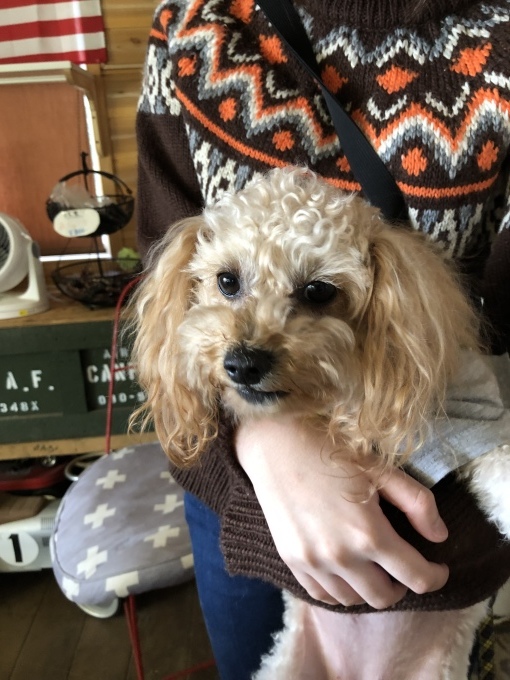 b0369239_15294951.jpeg