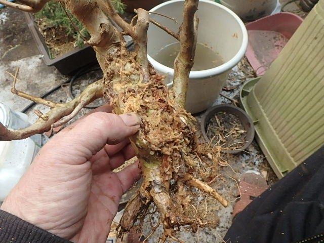 f0334143_22303727.jpg