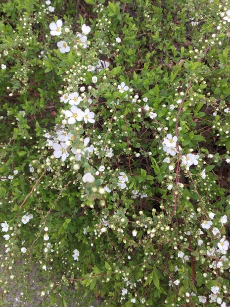 c0073152_23423974.jpg