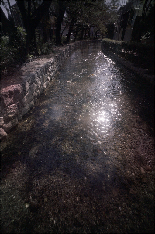 c0168172_17580149.jpg