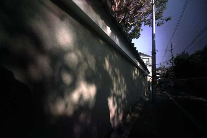 c0168172_17592954.jpg