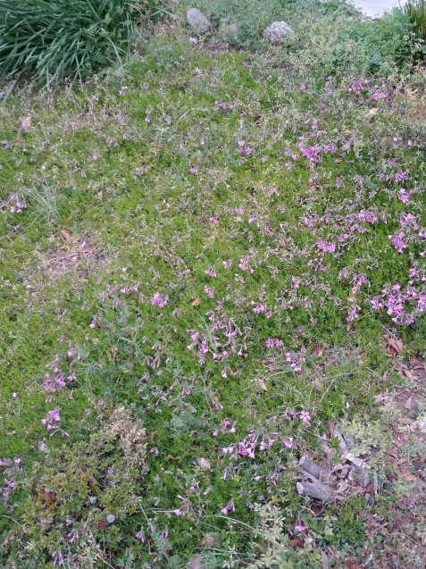 c0162773_14475947.jpg