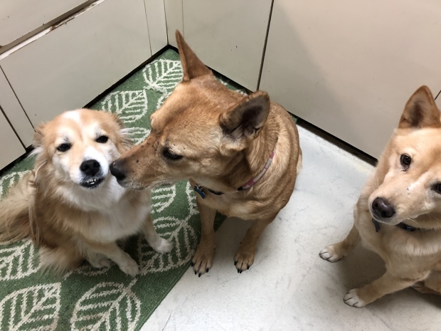 b0377882_14041369.jpeg