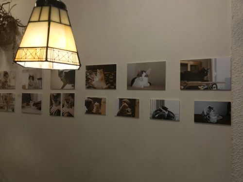 a0216583_17452031.jpeg