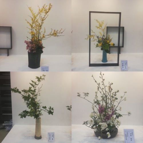 大丸福岡天神でいけばな展_d0195183_00533666.jpg