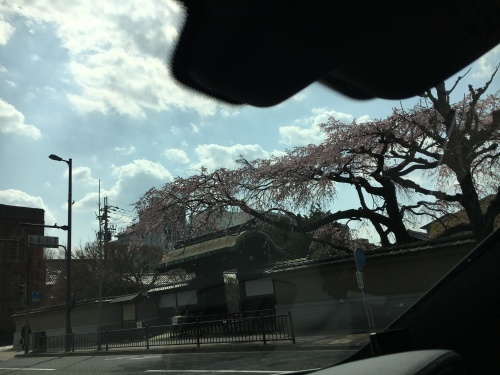 先日のお買い物とお出かけ_f0347891_02301577.jpeg