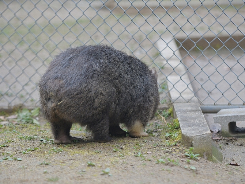 大きな木の声、ユキの瞳に溢れた涙　～～～後編～～～_a0164204_14393993.jpg