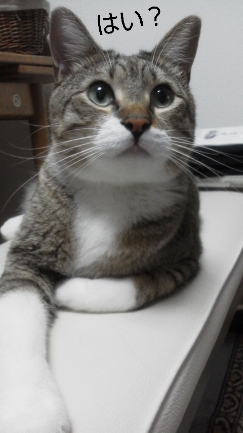 意気消沈。。。ちーん。_f0316507_22502351.jpg