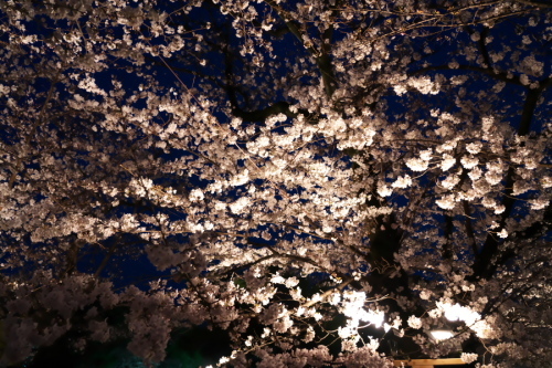 a0263109_19212368.jpg