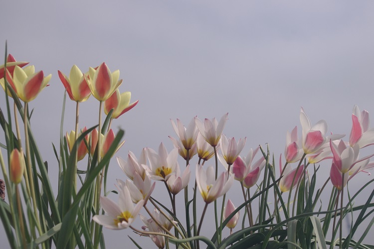 c0147909_15150993.jpg