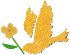 e0362509_02472547.gif