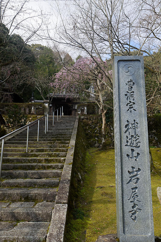 f0032011_20395266.jpg