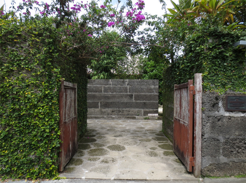 ■辺野古海岸で宝貝を探す――沖縄米軍基地ツアー_d0190217_21271375.jpg