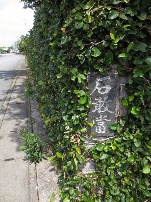 ■辺野古海岸で宝貝を探す――沖縄米軍基地ツアー_d0190217_21273134.jpg