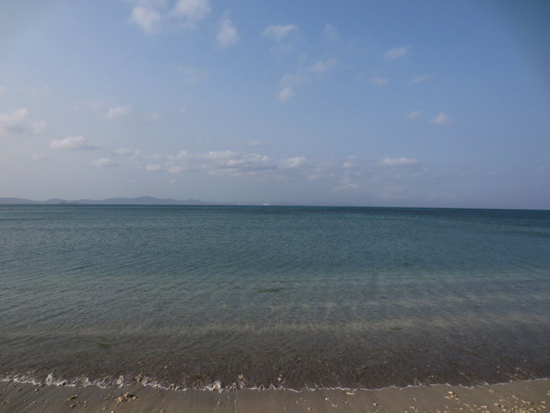■辺野古海岸で宝貝を探す――沖縄米軍基地ツアー_d0190217_21302367.jpg