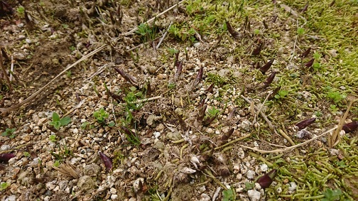 f0228619_15242238.jpg
