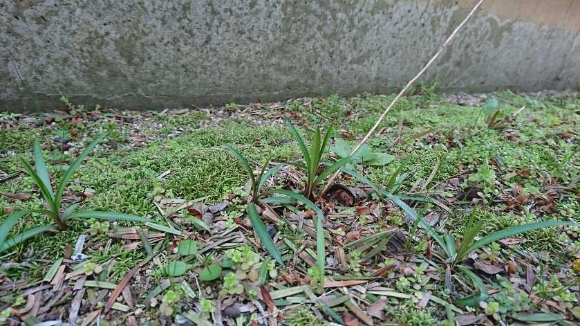 f0228619_15291164.jpg