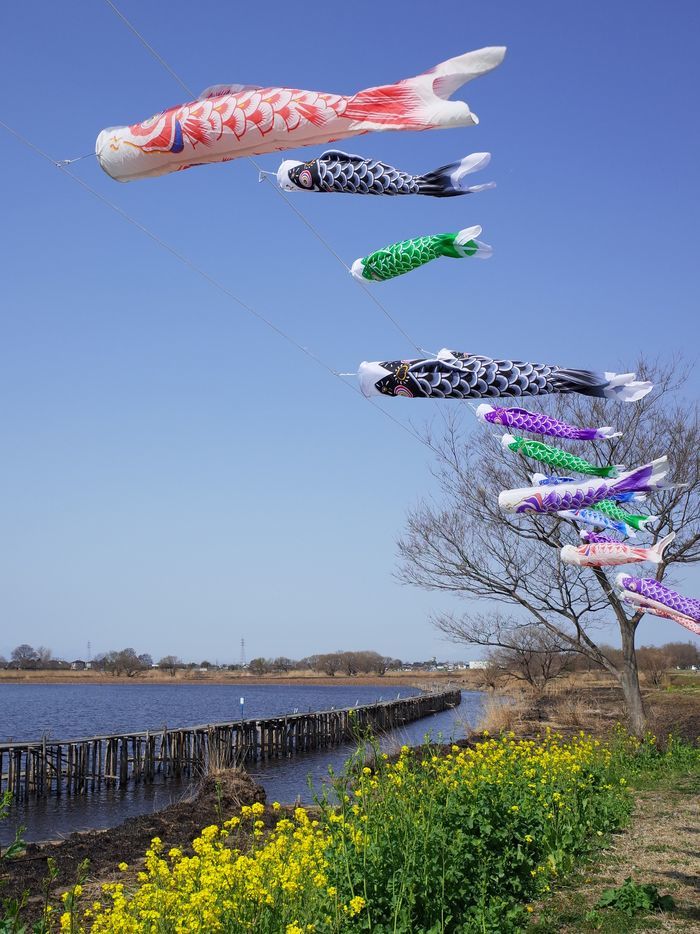 多々良有情・・・春だね~♪_a0031821_09311071.jpg