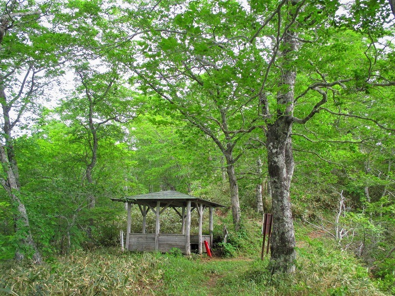 上信越　ドウダンツツジが咲き誇る稲包山　　　　　Mount Inatutumi in Jōshin\'etsu-kōgen National Park_f0308721_15441821.jpg