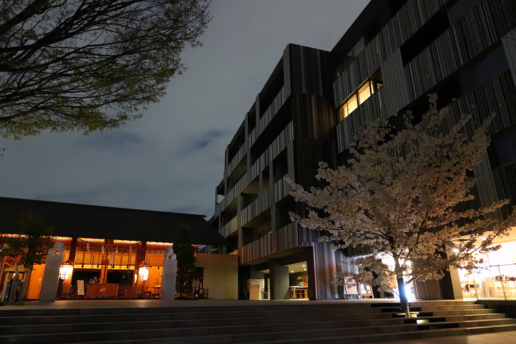 神楽坂 －夜桜の赤城神社～あかぎカフェ－_b0169330_21415433.jpg