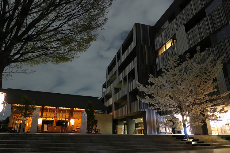 神楽坂 －夜桜の赤城神社～あかぎカフェ－_b0169330_22324712.jpg
