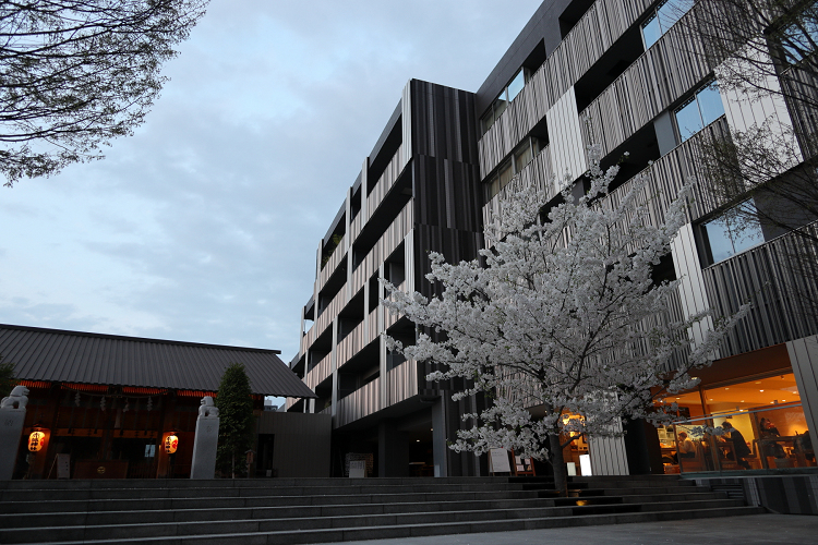 神楽坂 －桜の赤城神社～あかぎカフェ－_b0169330_8194387.jpg