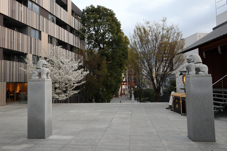 神楽坂 －桜の赤城神社～あかぎカフェ－_b0169330_905262.jpg