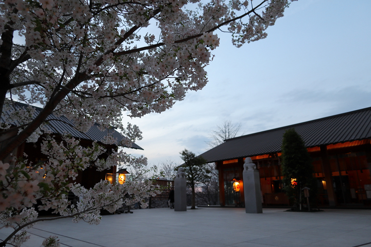 神楽坂 －桜の赤城神社～あかぎカフェ－_b0169330_9194097.jpg