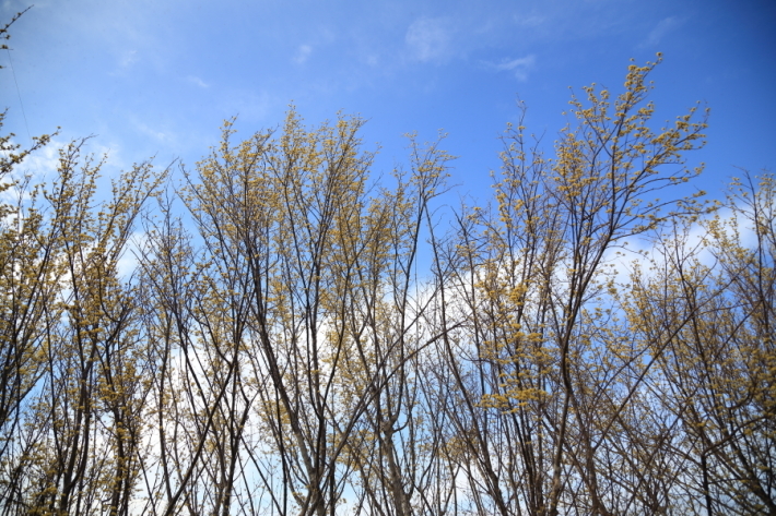 f0229832_22572260.jpg