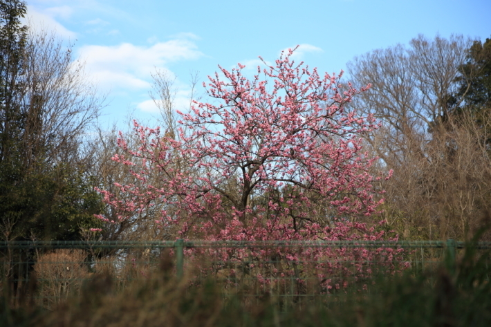 f0229832_22574129.jpg