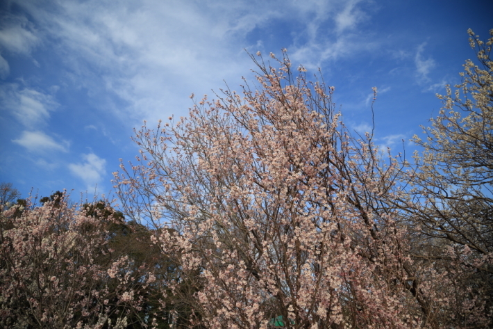 f0229832_22580351.jpg